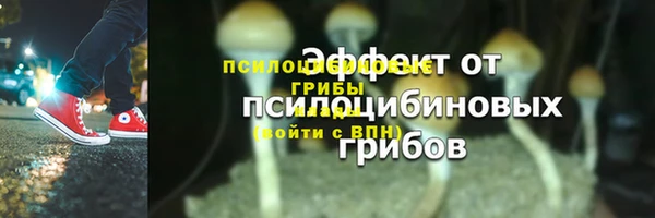 марки lsd Абаза