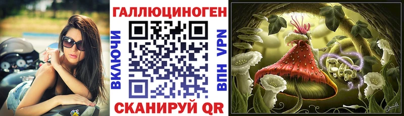 Галлюциногенные грибы Magic Shrooms  darknet наркотические препараты  Нальчик  цены  