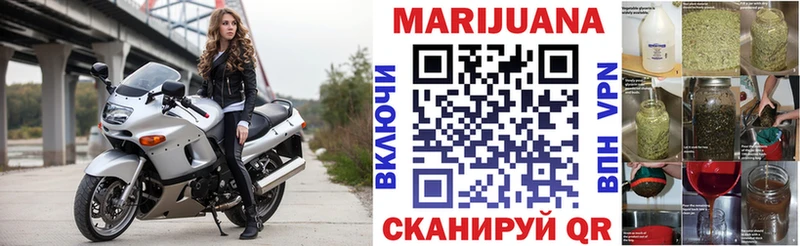 Каннабис ГИДРОПОН Нальчик